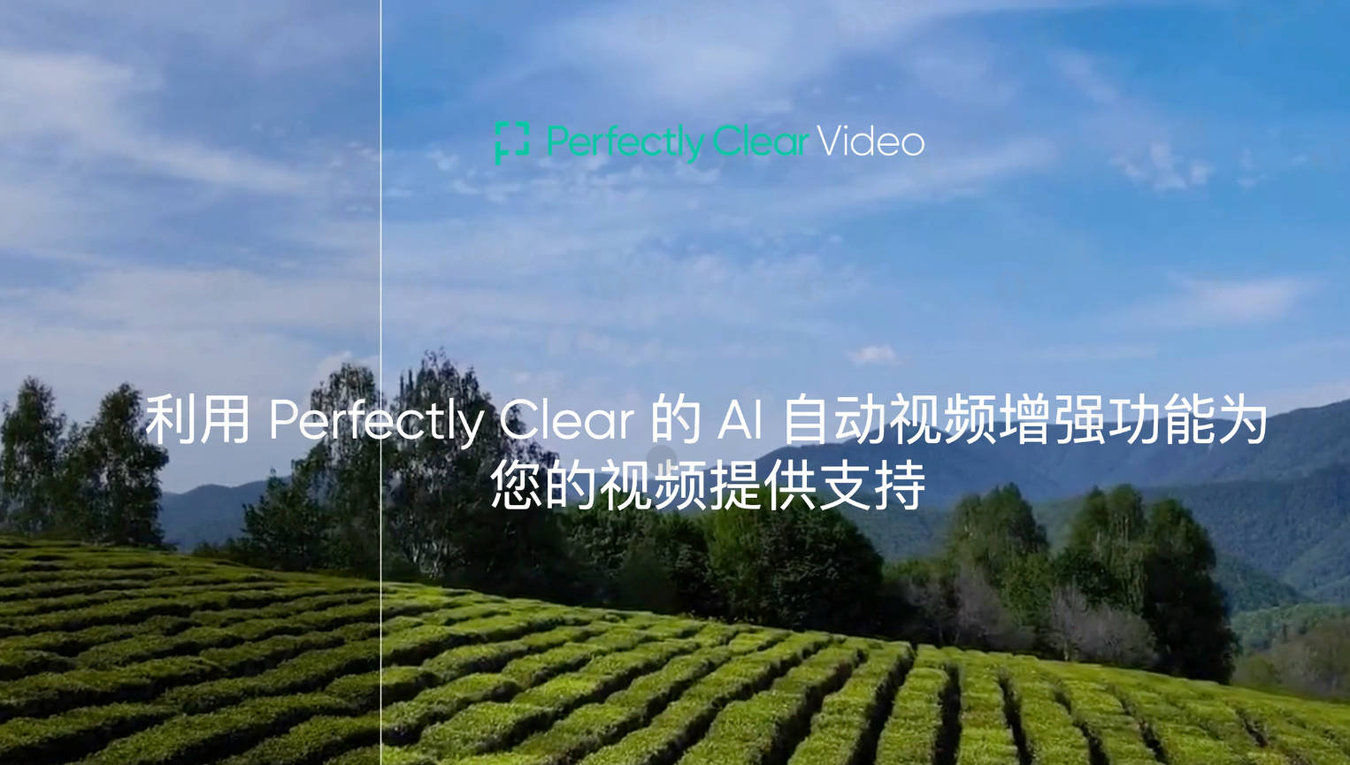 sskoo.com思酷素材