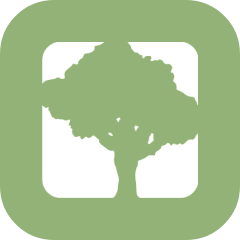 SpeedTree Modeler V10专业3D植被生成神器｜影视游戏树木建模工具